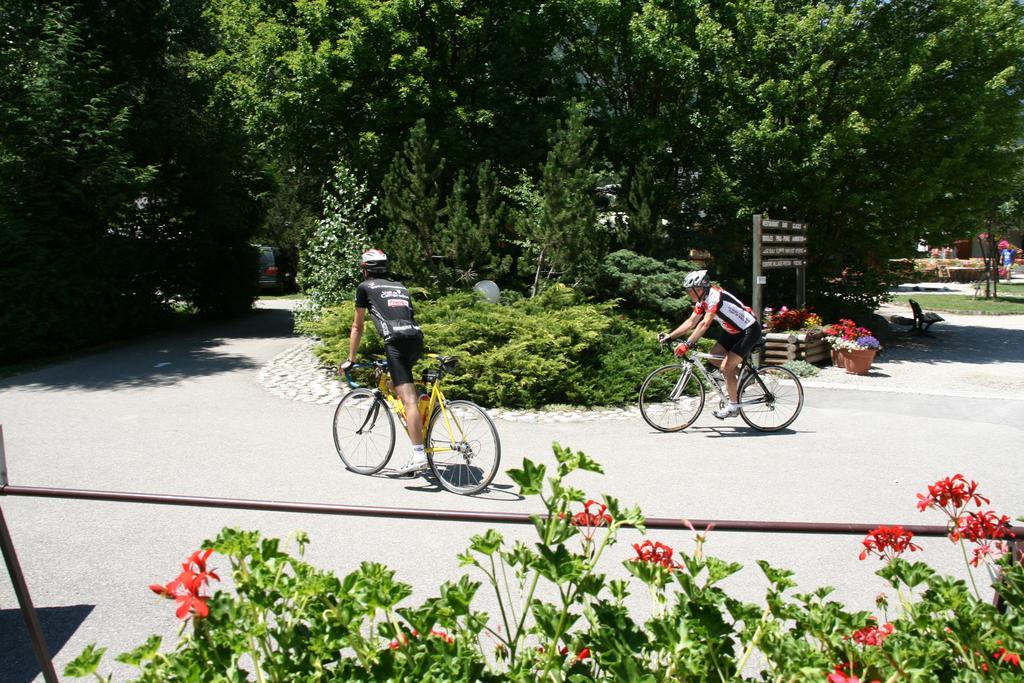 Camping Le Colporteur Le Bourg-dʼOisans Exterior foto